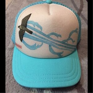 Patagonia Trucker Hat Soaring Peregrine Interstate Light Blue●